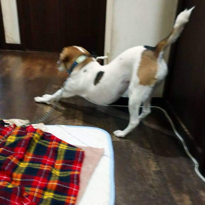 0d270d06 a2d9 4f09 9dfa 08aba6310399 1603962919177