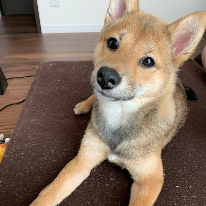 0d272fa3 051e 496b ba88 20a0ab55d9b5 1621834537308