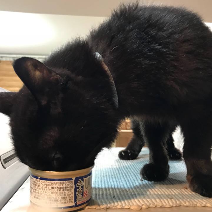 0d2747d3 9565 47a7 bc73 38af3927f53b 1528214180884