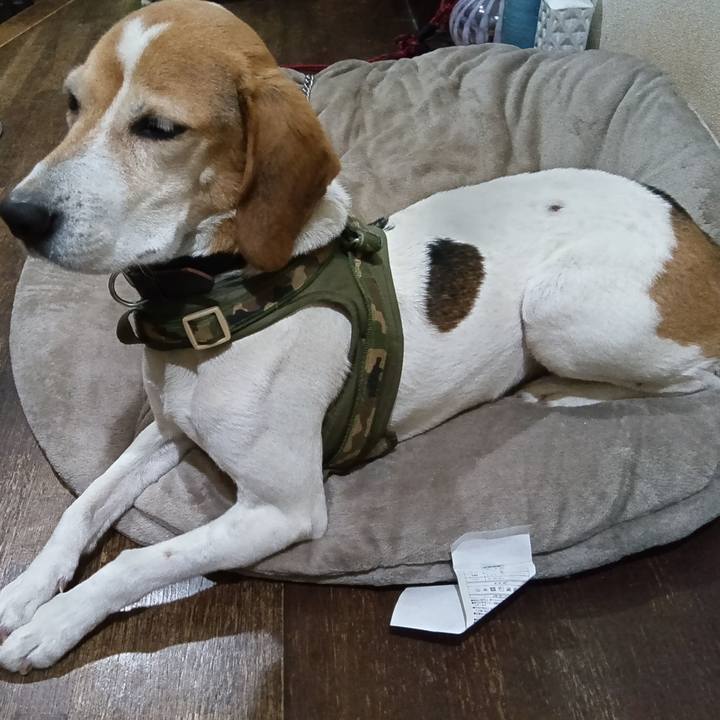 0d275e30 c3fc 4518 ad10 66aa13544786 1737892301424