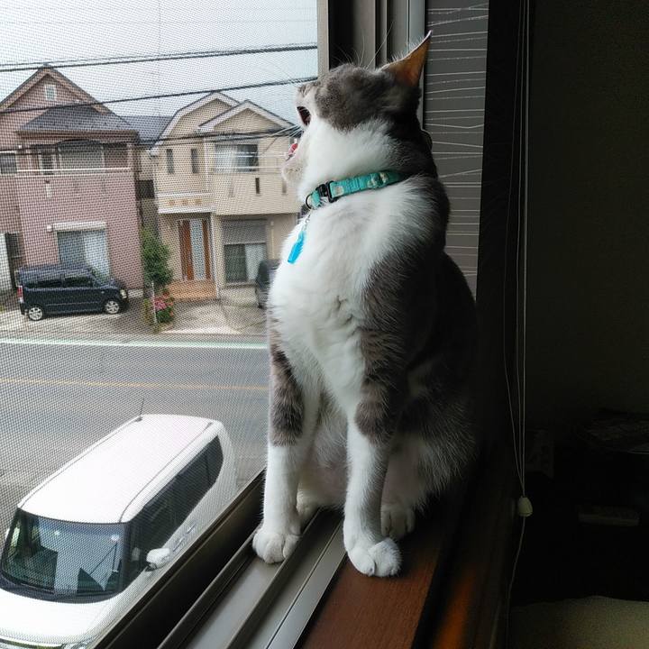 0d2771e3 a4ee 4b2c 9f3b aa6ffb747aff 1592952945689