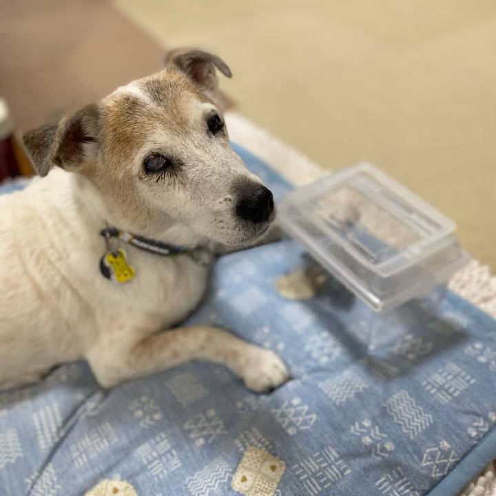 0d27df97 6207 4200 b38b 781e244f5ad9 1691016440479