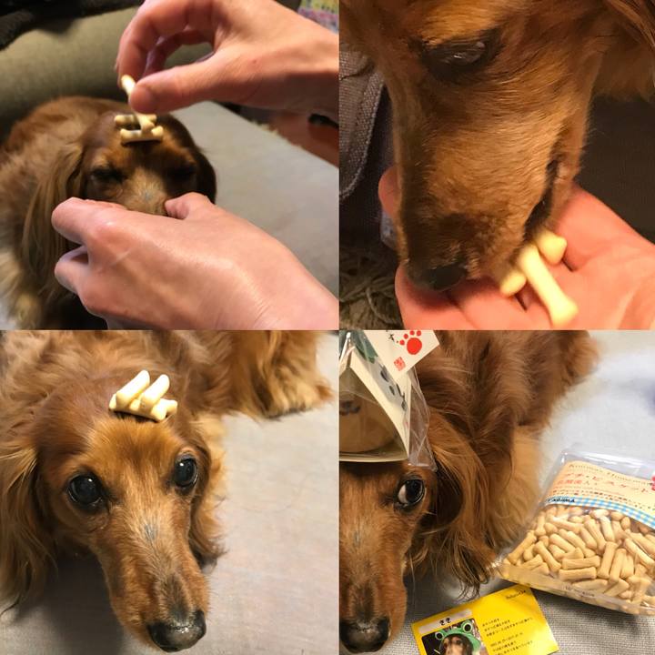 0d27fb49 69c6 401b bbe2 f5d5dff8a3bc 1521893851399