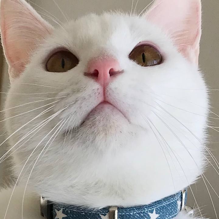 0d2829c4 b8e4 47f1 b932 6dbec0536691 1581765925359