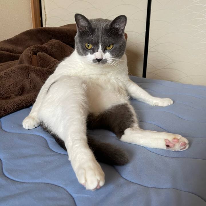 0d2835ff 840e 4792 9e92 1514b19b418b 1658730591348