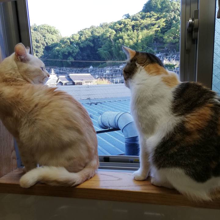 0d288284 de71 440e 82f4 0709b6312db7 1730589645555