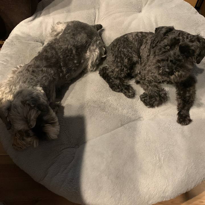 0d288e76 5cf7 46b7 a6ea 2ca90cad5299 1673659731046