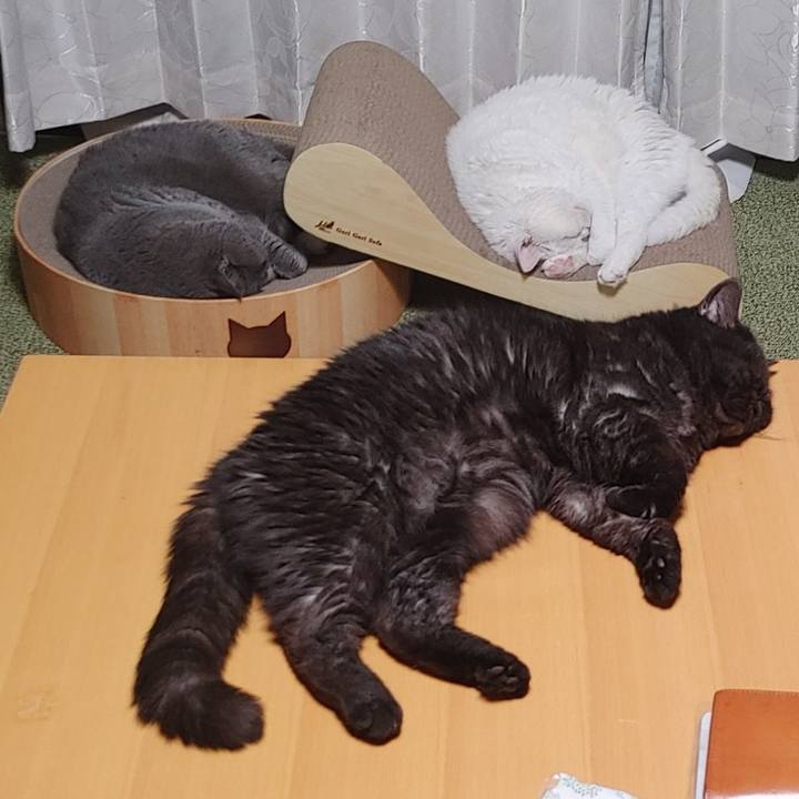 0d289203 fa99 4b21 a57c a65dbc7b5100 1627297749034