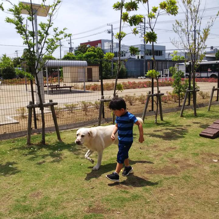 0d28ba9f de53 46f6 bc21 b4932ccdbb7c 1526706075051