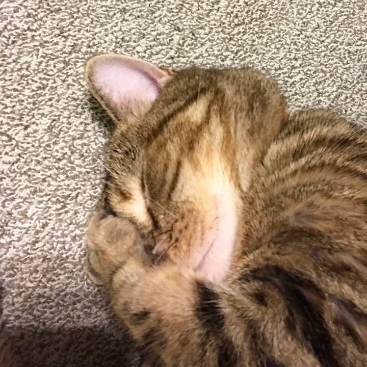 0d2934f9 46b9 4e67 9414 44c4b39994d6 1534503453480