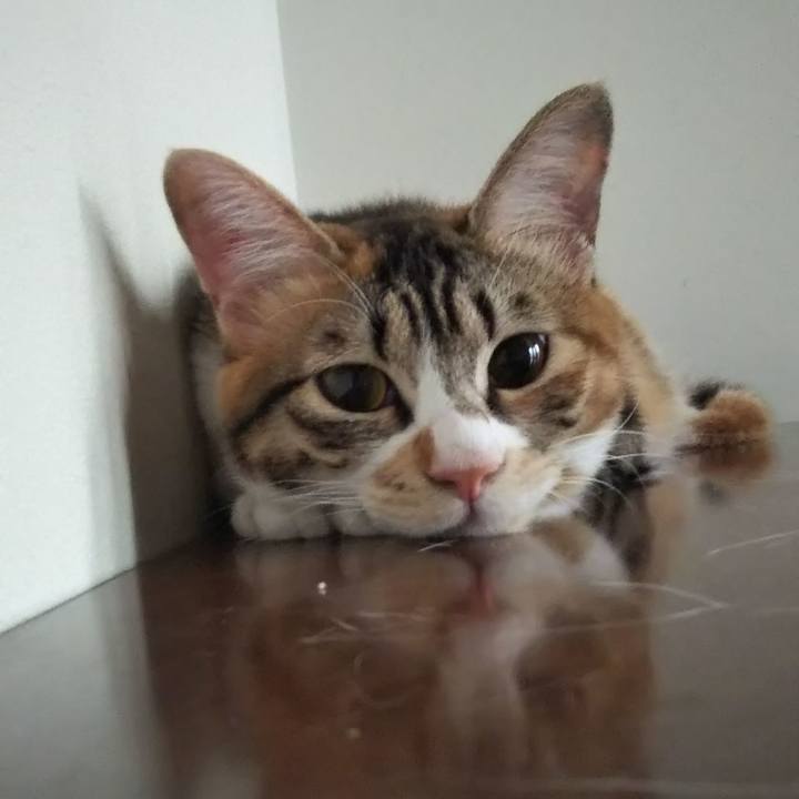 0d294a4a 7a12 4db7 8437 f0189e769499 1660602530240