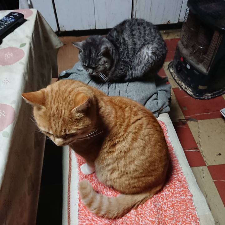 0d29678d cbaf 4315 be07 fbf898719abf 1577564497339