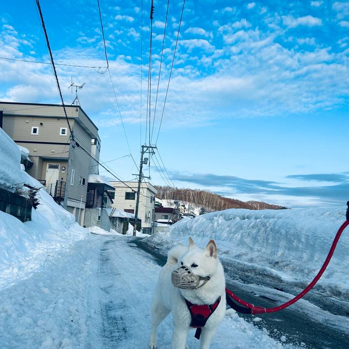 0d296bf7 26b0 47d4 b9cf 865497c26625 1711234344766