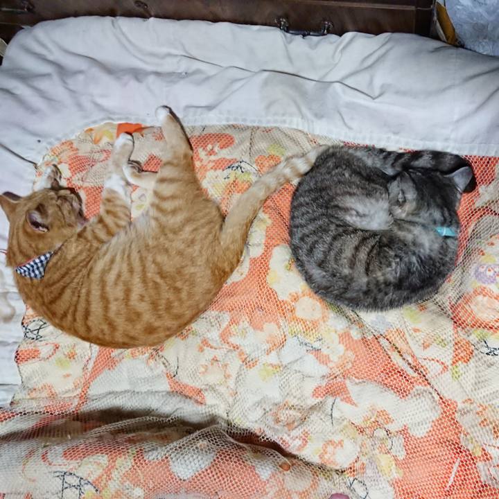 0d2971fd 38db 4d75 bacc cfc3d334ff7c 1569761756525