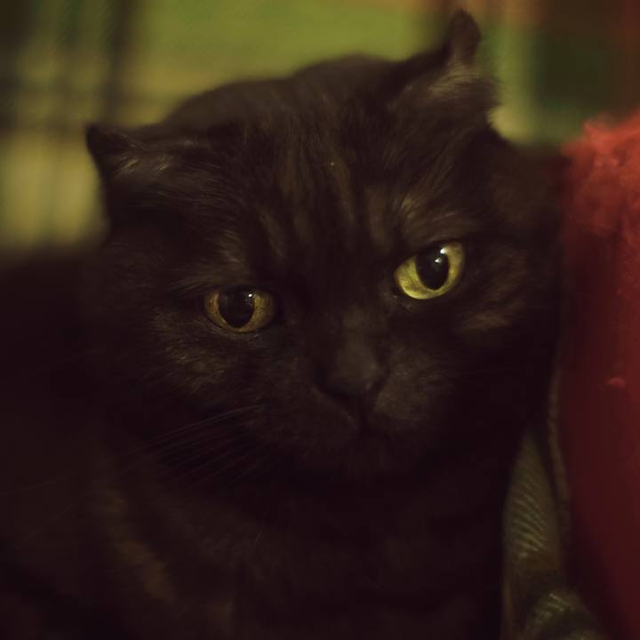 0d2976ec 3662 42d2 b0c3 965630c781c4 1523721744824