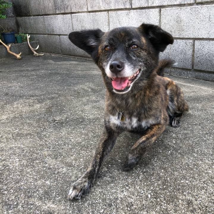 0d2982c9 6c94 4e50 8851 b3975d884632 1563172851093