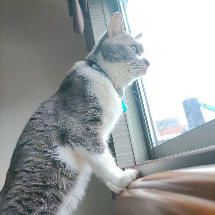 0d29a74e 5304 4d6d a519 a0fb7e1c3746 1673833679615