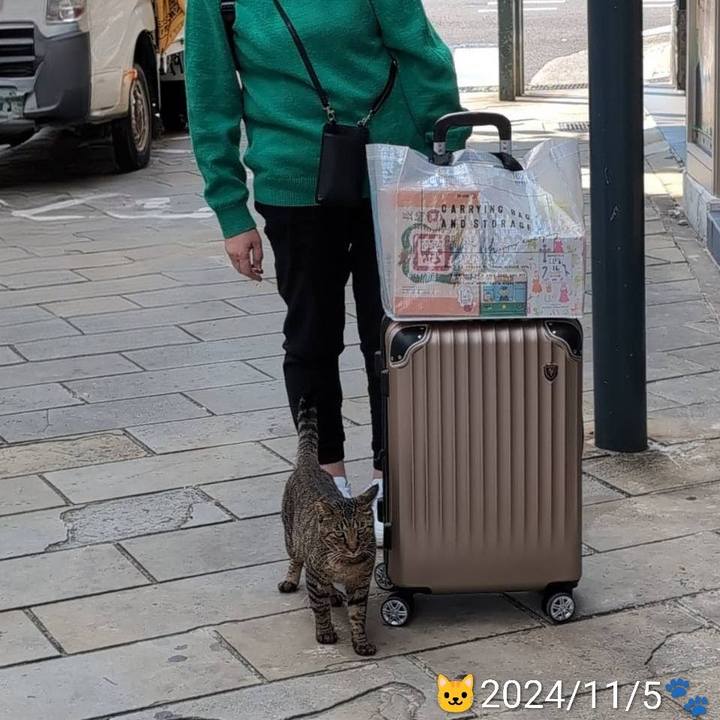 0d29ab80 75a2 438b 9dbc d34a9d1cae4c 1765591534049