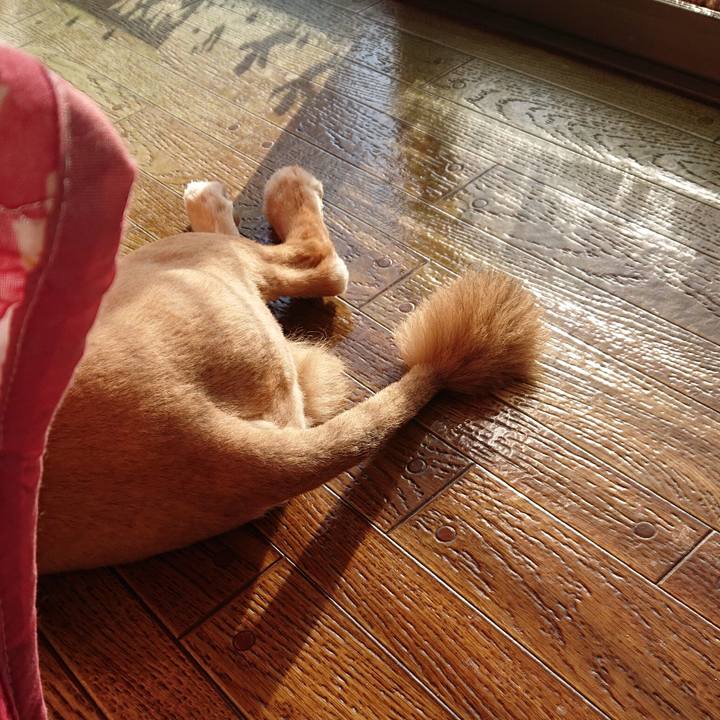 0d29e82b dfc9 43c5 86cf 99e21ad0dac2 1555109843968