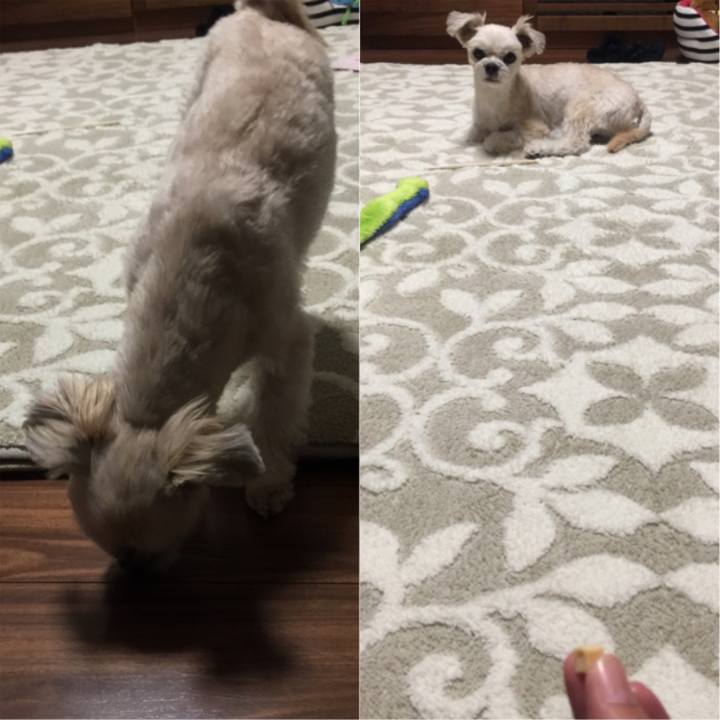 0d2a0aa7 6648 4d7d 9067 7ad5e4c92a58 1544609685104