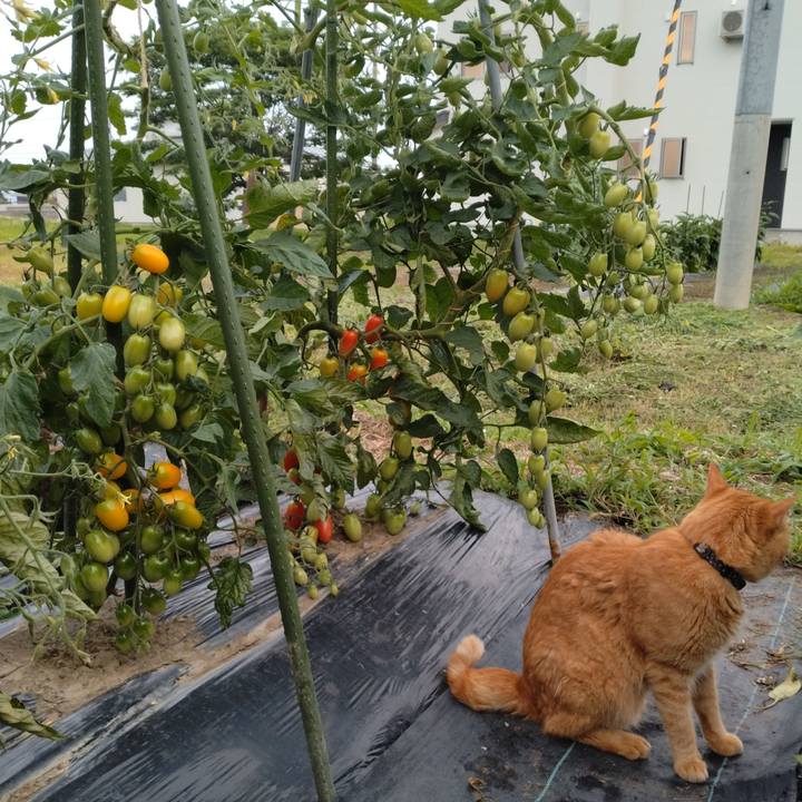 0d2a1a7e 2c13 411b aa36 b3c0c6ee8ca2 1721120726011