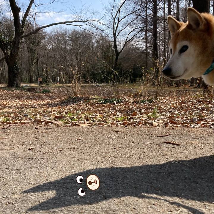 0d2a53e8 ac84 452f aa4a 8a1010c30bb1 1771216389676