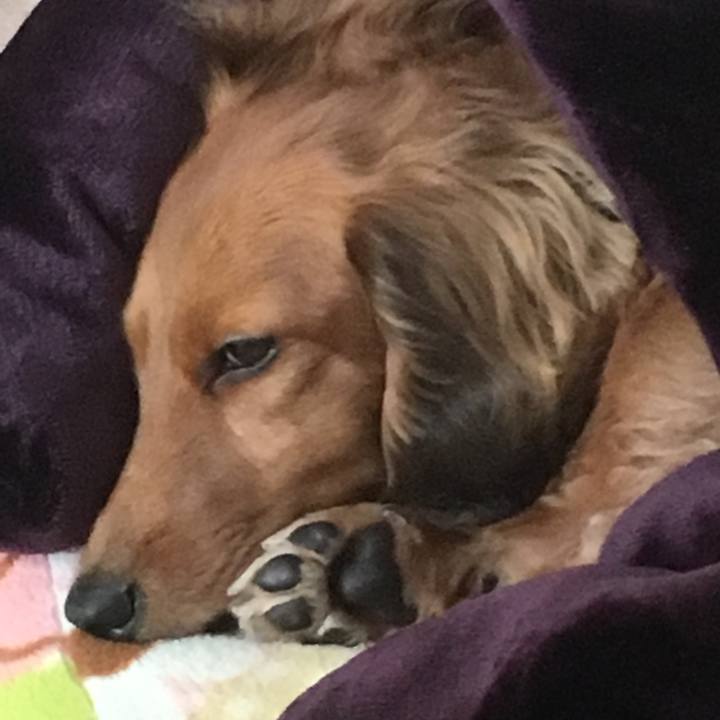 0d2ab206 c7ae 4373 b572 d96deb521d60 1513676342290