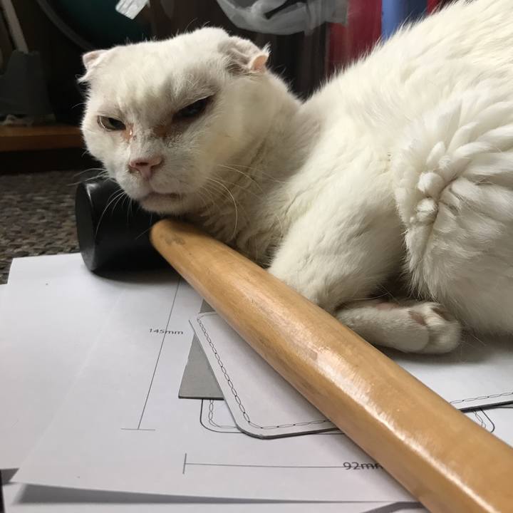 0d2acac0 6ca9 4c45 9997 9ccf1f4318c3 1536383955670