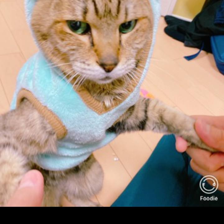 0d2acca9 8482 48dd a66c 58491a777690 1697719038281