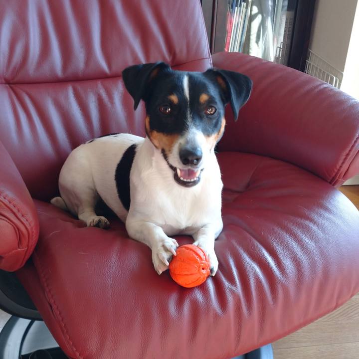 0d2b115d e379 44f7 b37c ae20e73e67c6 1605053592383