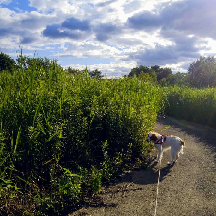 0d2b1dbc 3084 42bb bd50 c7ad58aeb976 1562413289578