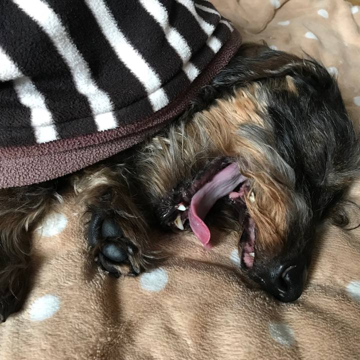 0d2b481b 9f43 41c4 9cca 05124534b635 1550886221582