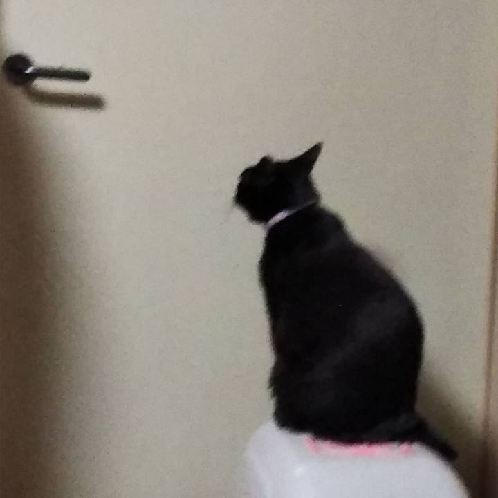 0d2b7ce2 f49c 4dd4 af06 05652c69db52 1584102720243