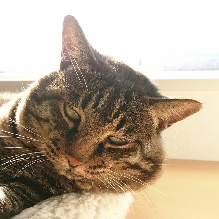 0d2b8d3a 5813 464c 971b 8573cd00ca93 1509165842162