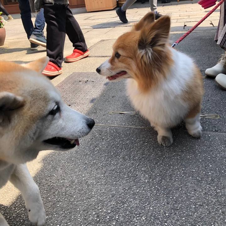 0d2bc770 2302 4eb9 b834 98dfb313f7d9 1554685219662