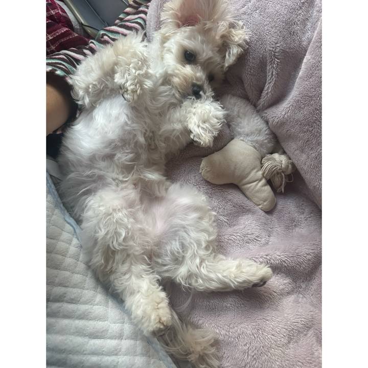 0d2beea2 3284 4380 9a81 24792fd8b01d 1767190533548