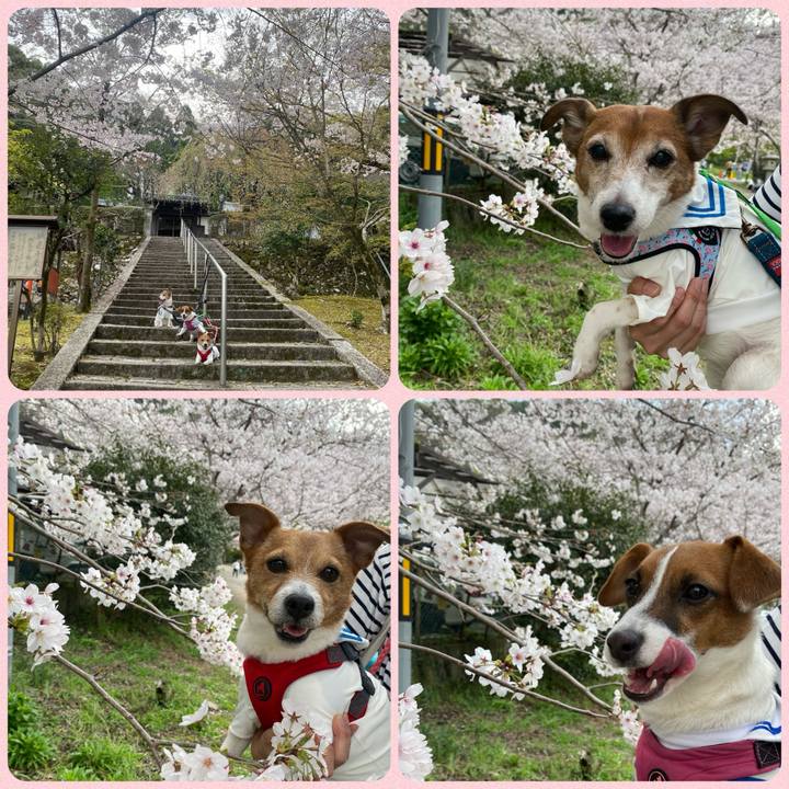 0d2bfad7 ca12 4448 8743 42d337a271a0 1712930854084