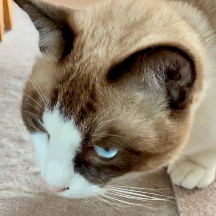 0d2c028e d000 45ad b52b 7158dbc9e6f2 1762234019002