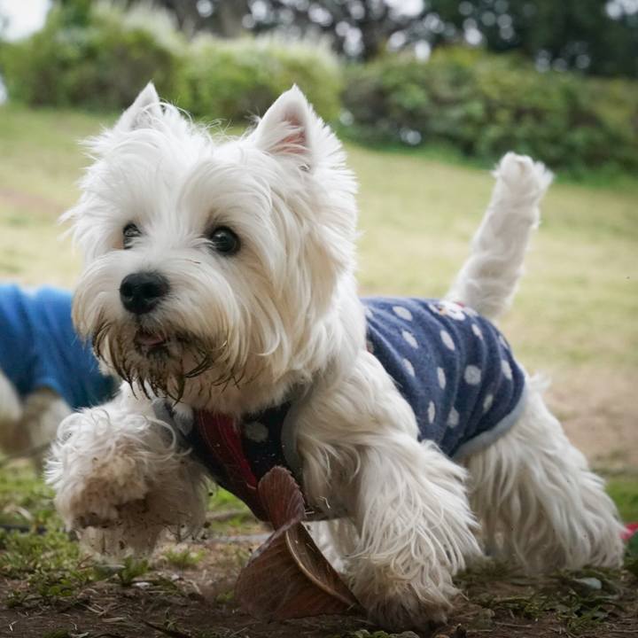 0d2c3041 e2bc 44da 915a 250b6b26ef01 1522759305400