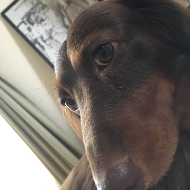 0d2c30f0 f767 49a1 8bc4 d5c914d0c9aa 1508027778970