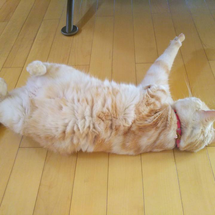 0d2c33d5 b8ff 42ed 88cc e4ae040975df 1528181937467