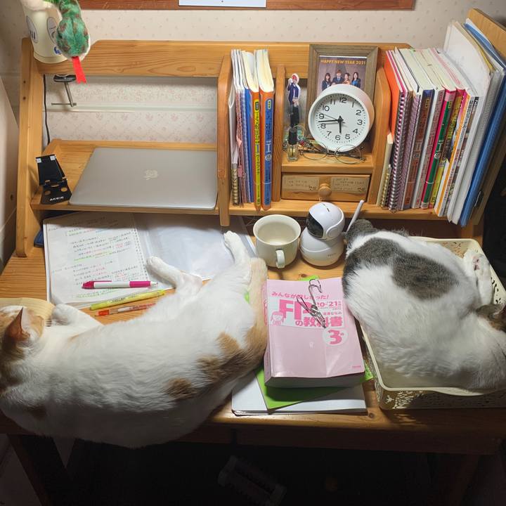 0d2c7dcd f8bb 4a28 a12c e0f4f794f945 1651264867512