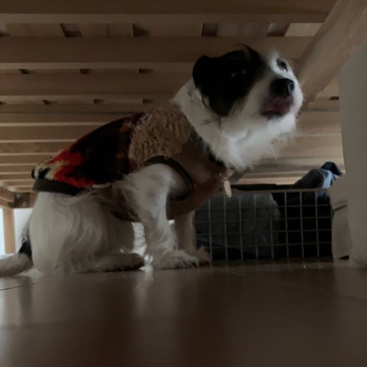 0d2c98c1 ad9e 4e20 acbf 2f7dfaf113e1 1549425380474