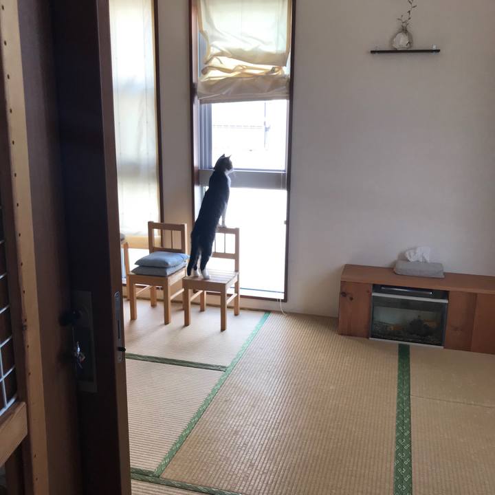 0d2cbbe4 3cee 463e aac8 f17303583998 1537143139594