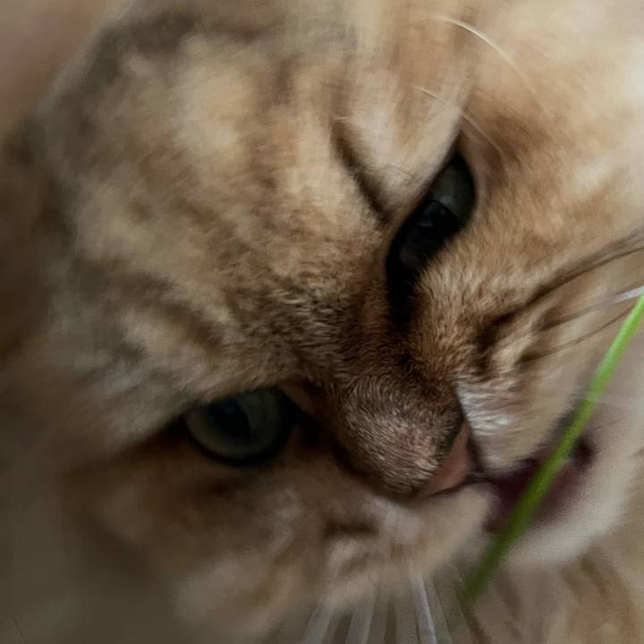 0d2ccc5c 1a8f 492c bb32 2730adceb911 1686359960990