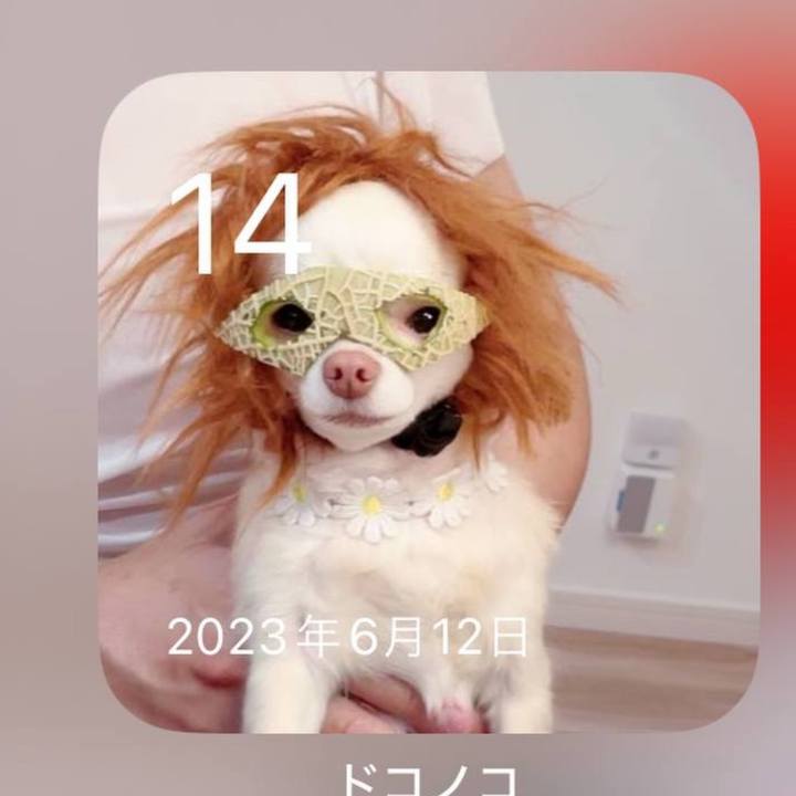 0d2cd799 fe6f 455d a849 04ef0b119e1e 1750460682207