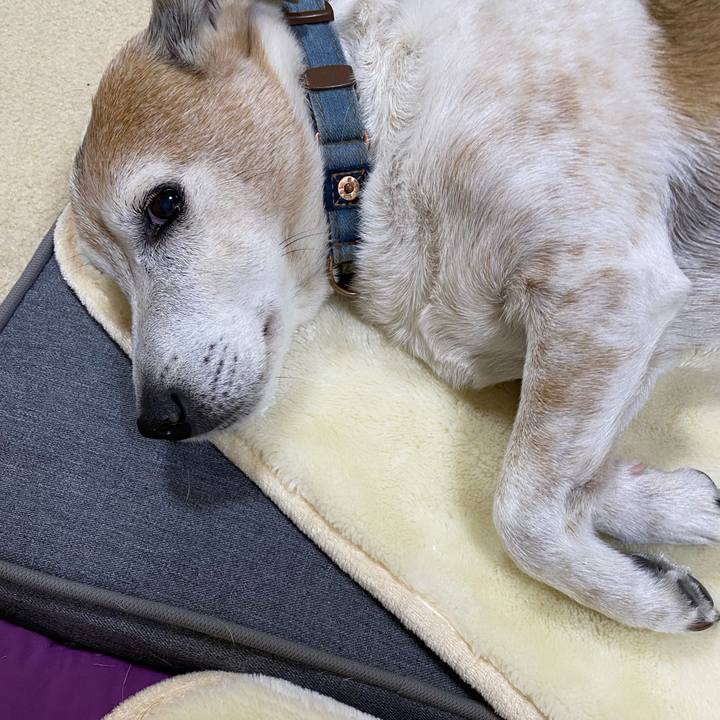 0d2d5650 087d 45e6 b3f4 9dd750b9c2dd 1639913141302