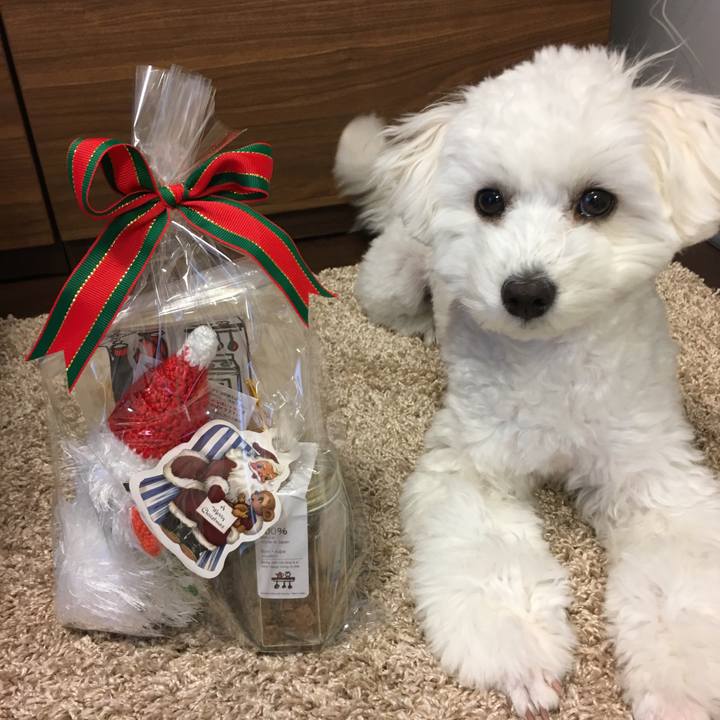 0d2d8842 1e4d 4165 89a7 b3e21e588dbf 1514154633562