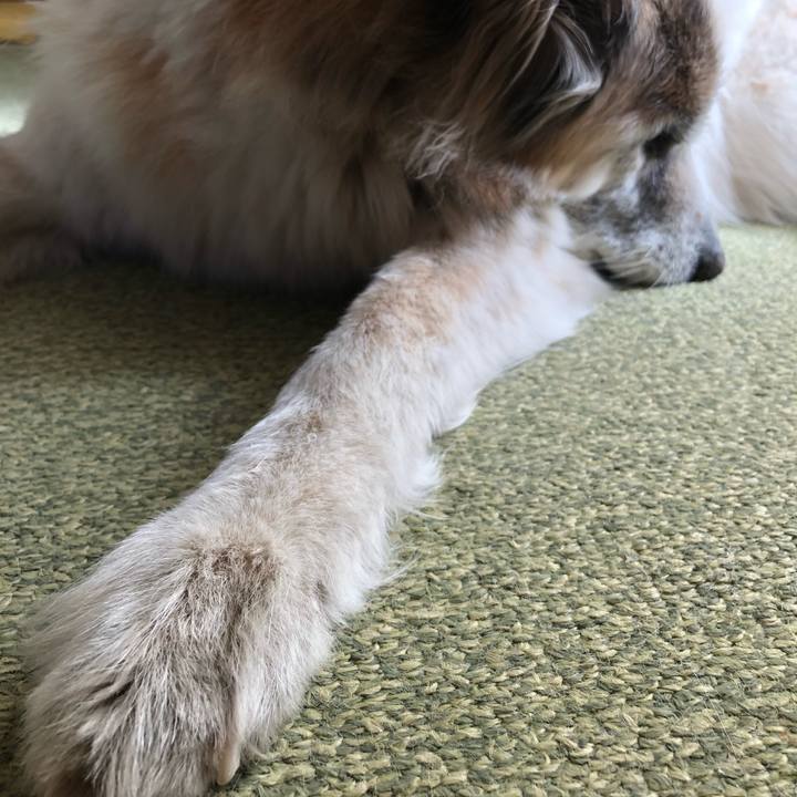 0d2d8fdc c20c 4439 8269 c43fdeef4add 1547695795260