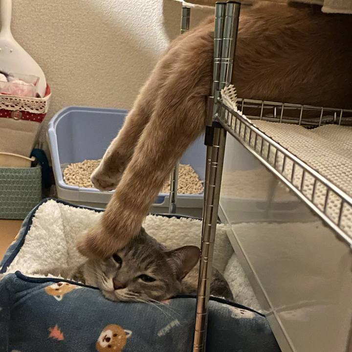 0d2dc650 68d6 4702 a1fb 672ef694d9d4 1610630261211